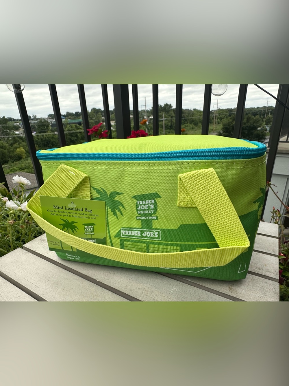 Trader Joe’s Limited-Release Mini Insulated Bag Spring 2026 Green